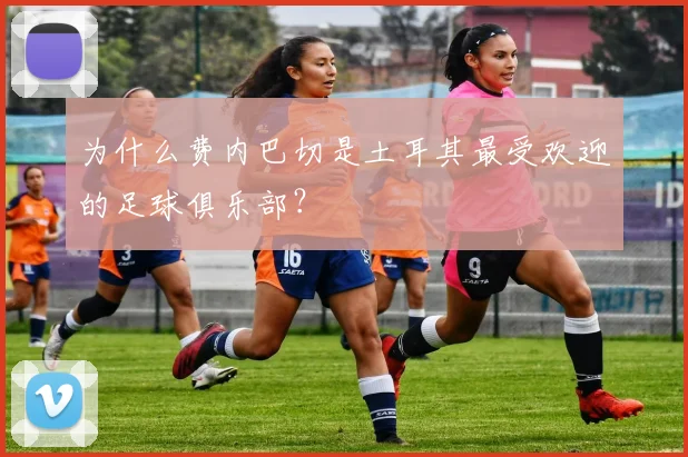 为什么费内巴切是土耳其最受欢迎的足球俱乐部？